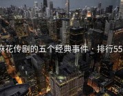 麻花传剧的五个经典事件 · 排行557