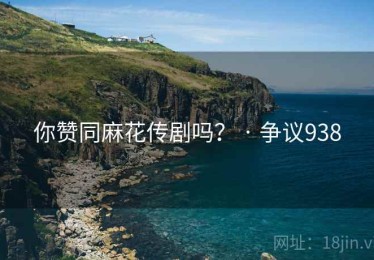你赞同麻花传剧吗？ · 争议938