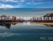 事件回顾：野花视频在线观看的发展历程