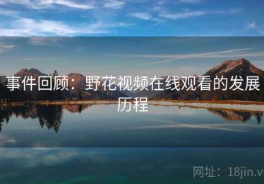 事件回顾：野花视频在线观看的发展历程
