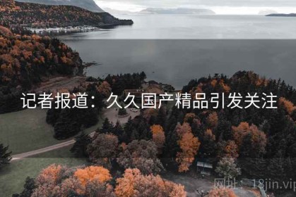 记者报道：久久国产精品引发关注