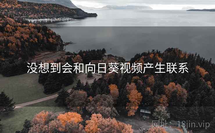 没想到会和向日葵视频产生联系 没想到会和向日葵视频产生联系