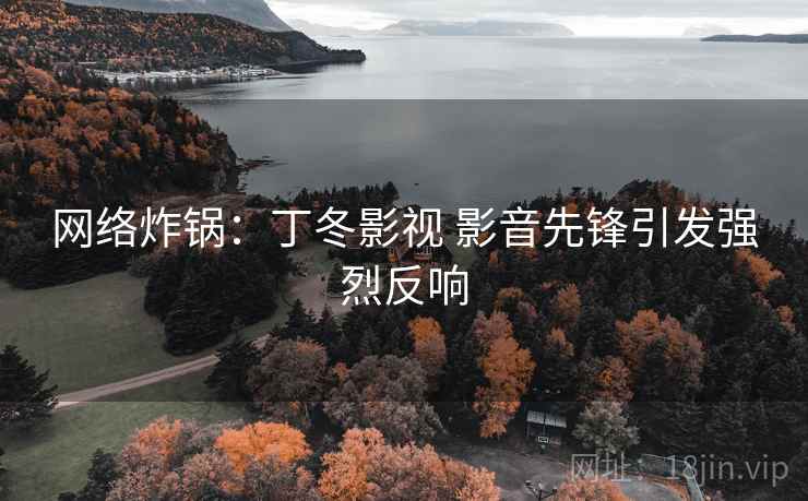 网络炸锅：丁冬影视 影音先锋引发强烈反响